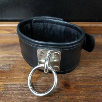 Eye-Plate Collar
